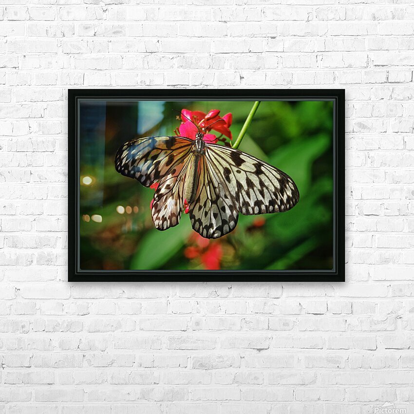 Paper kite butterfly HD Sublimation Metal print with Decorating Float Frame (BOX)