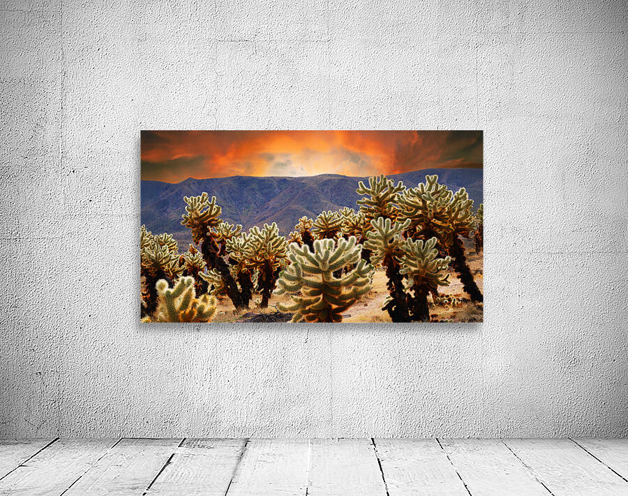 Prickly teddybear cholla Wall Preview