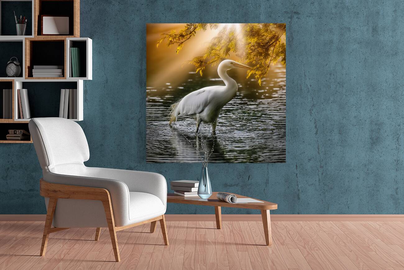 Egret on the hunt Reproduction