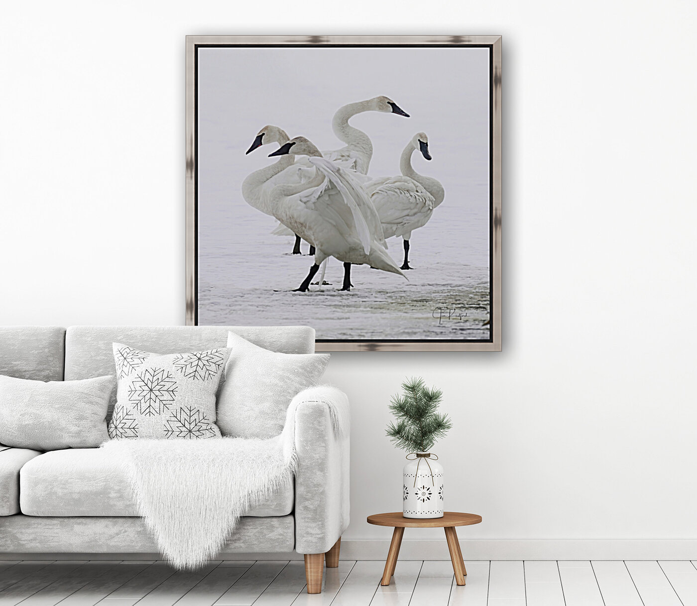 Swan group   Art
