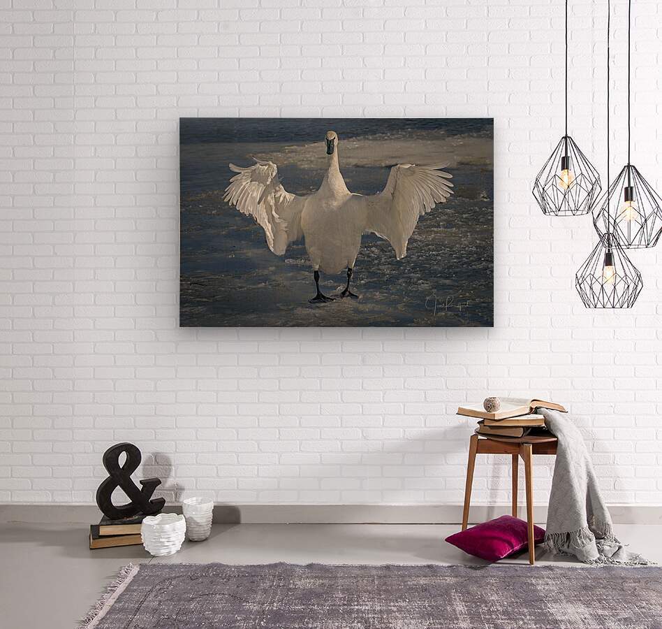Embracing Swan  Wood print