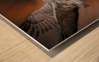 Sandhill in-flight motion Wood print