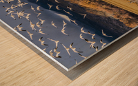 Migration of the birds Impression sur bois