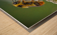 Honeybee on flower Wood print