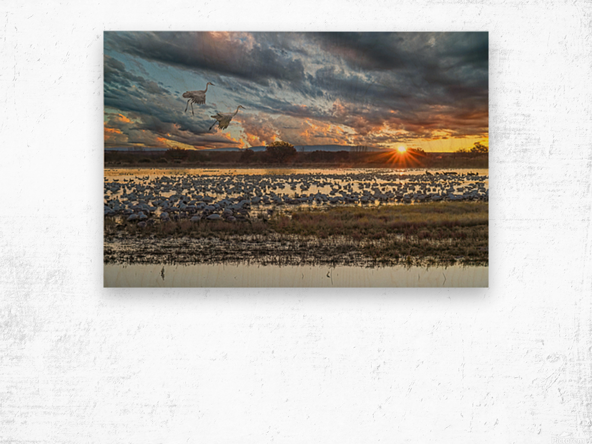 Sunrise at the Bosque Wood print