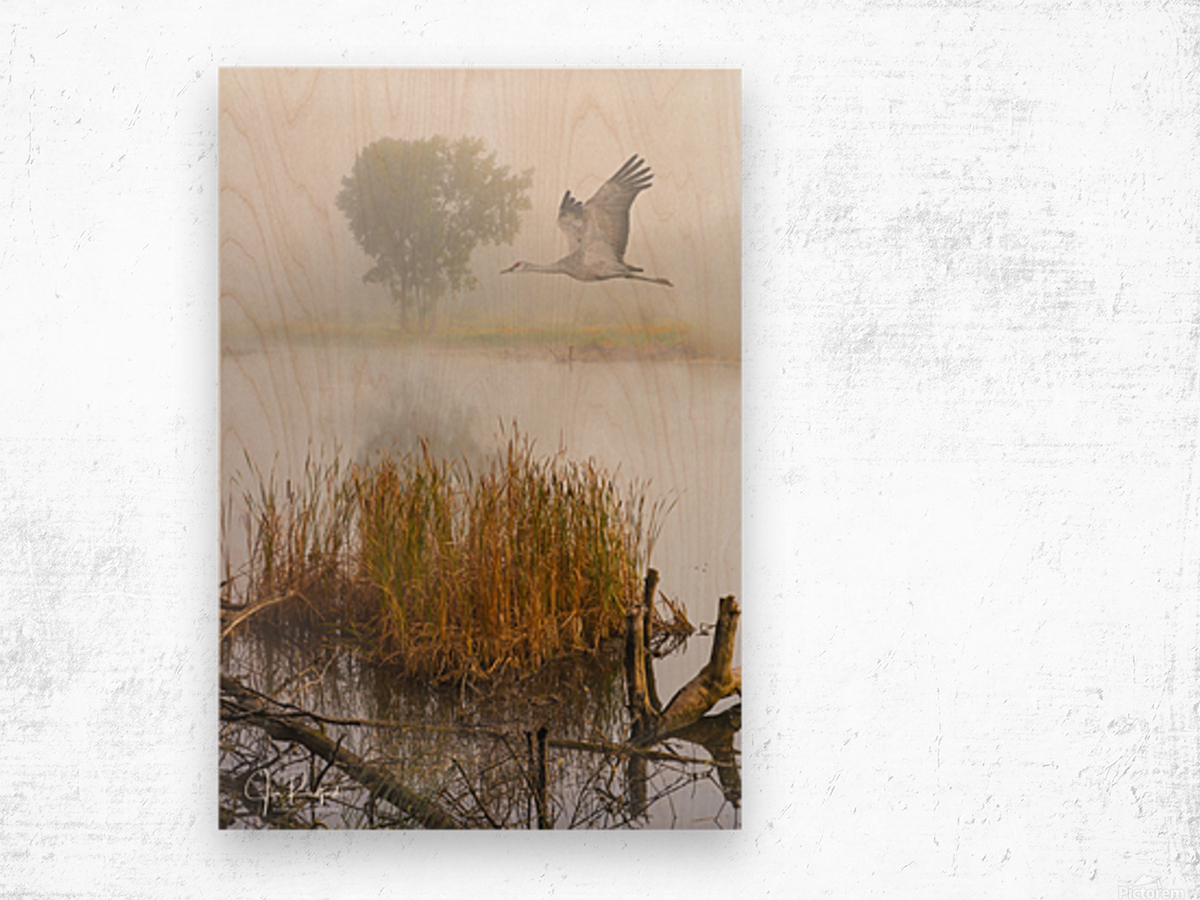 Crane on the Wing in Fog Wood print