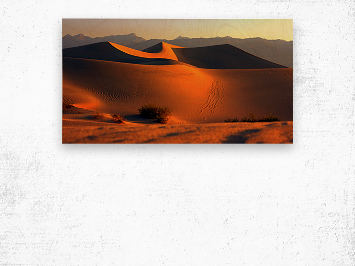 Mesquite Dunes at Dusk Wood print